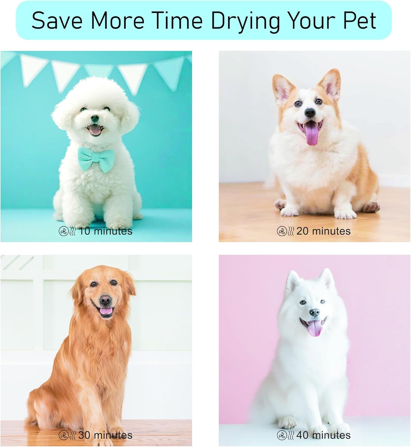 Professional Pet Grooming Dryer - High Velocity Dog Dryer with Adjustable Speed, Heat & 3 Nozzles