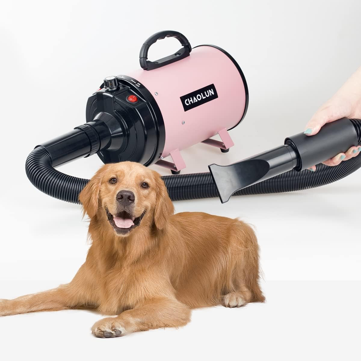 Professional Pet Grooming Dryer - High Velocity Dog Dryer with Adjustable Speed, Heat & 3 Nozzles