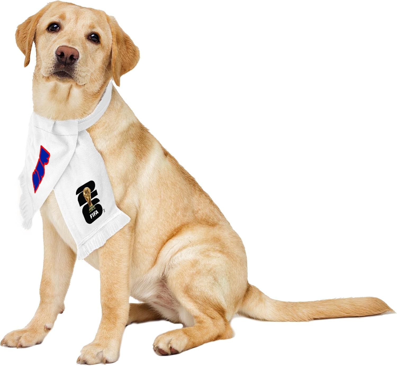 FIFA World Cup 2026 Pet Soccer Scarf - Official Dog & Cat Bandana, 13 Country Team Designs