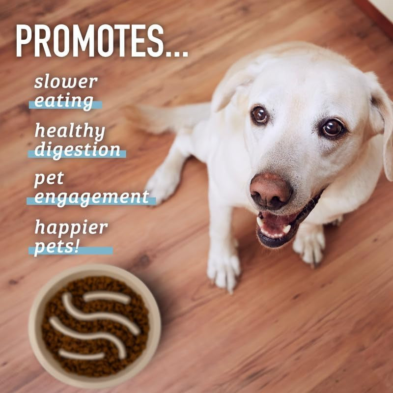 Premium Slow Feeder Dog Bowl - Interactive Puzzle Bowl for Healthy Eating & Digestion