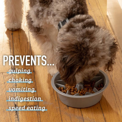 Premium Slow Feeder Dog Bowl - Interactive Puzzle Bowl for Healthy Eating & Digestion