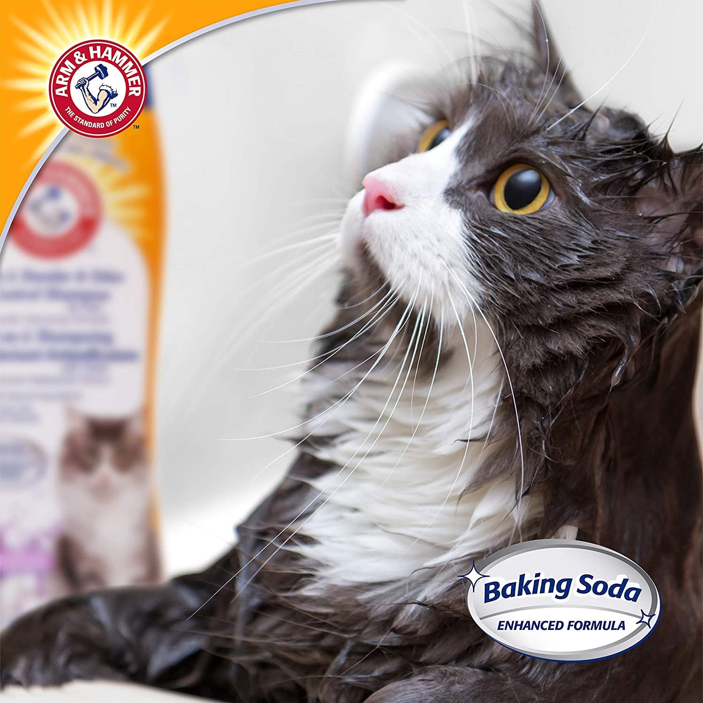2-in-1 Cat Shampoo for Dander & Odor Control - Deodorizing Baking Soda Formula, Reduces Pet Dander, Deep Cleans Coat, Lavender Chamomile Scent, 20 Fl Oz