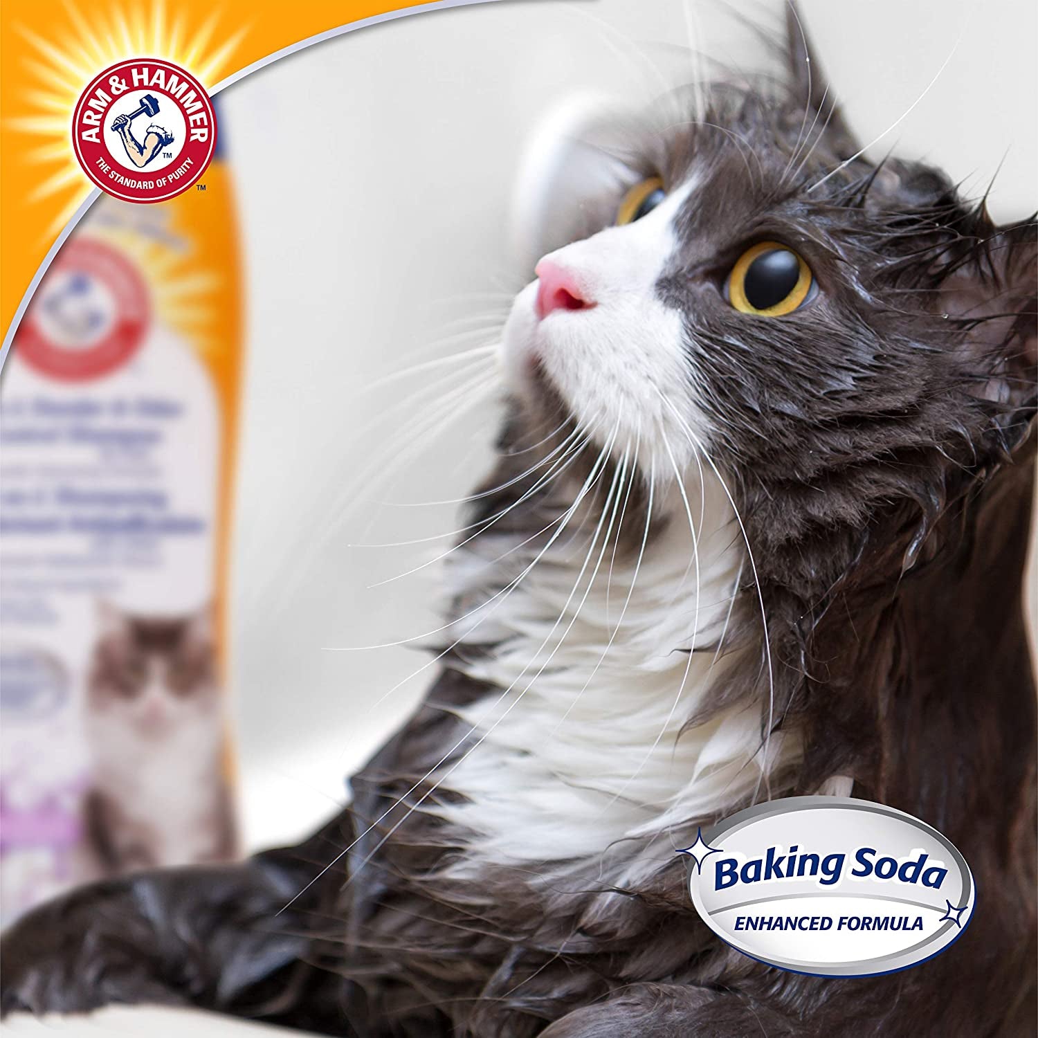 2-in-1 Cat Shampoo for Dander & Odor Control - Deodorizing Baking Soda Formula, Reduces Pet Dander, Deep Cleans Coat, Lavender Chamomile Scent, 20 Fl Oz