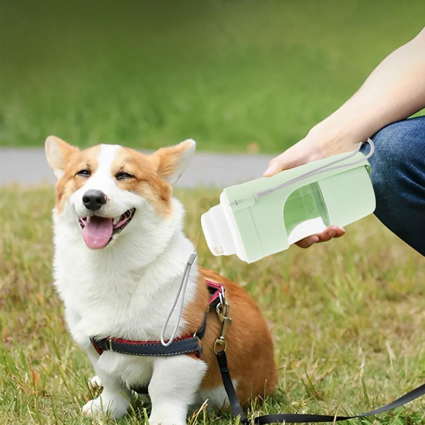 2 in 1 Portable Dog Water Bottle - Leak Proof Travel Water & Food Dispenser for Pets