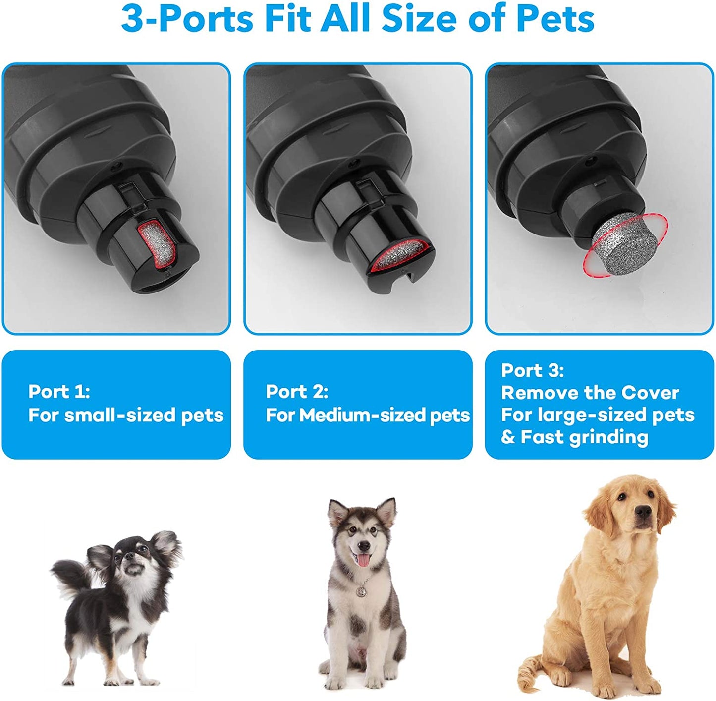 Professional Dog Nail Grinder with LED Lights – Quiet 2-Speed Electric Pet Nail Trimmer for Small, Medium & Large Dogs and Cats