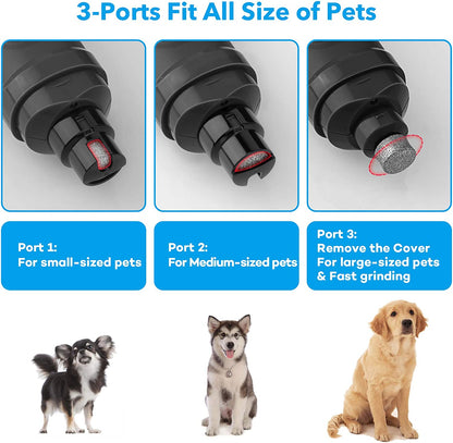 Professional Dog Nail Grinder with LED Lights – Quiet 2-Speed Electric Pet Nail Trimmer for Small, Medium & Large Dogs and Cats