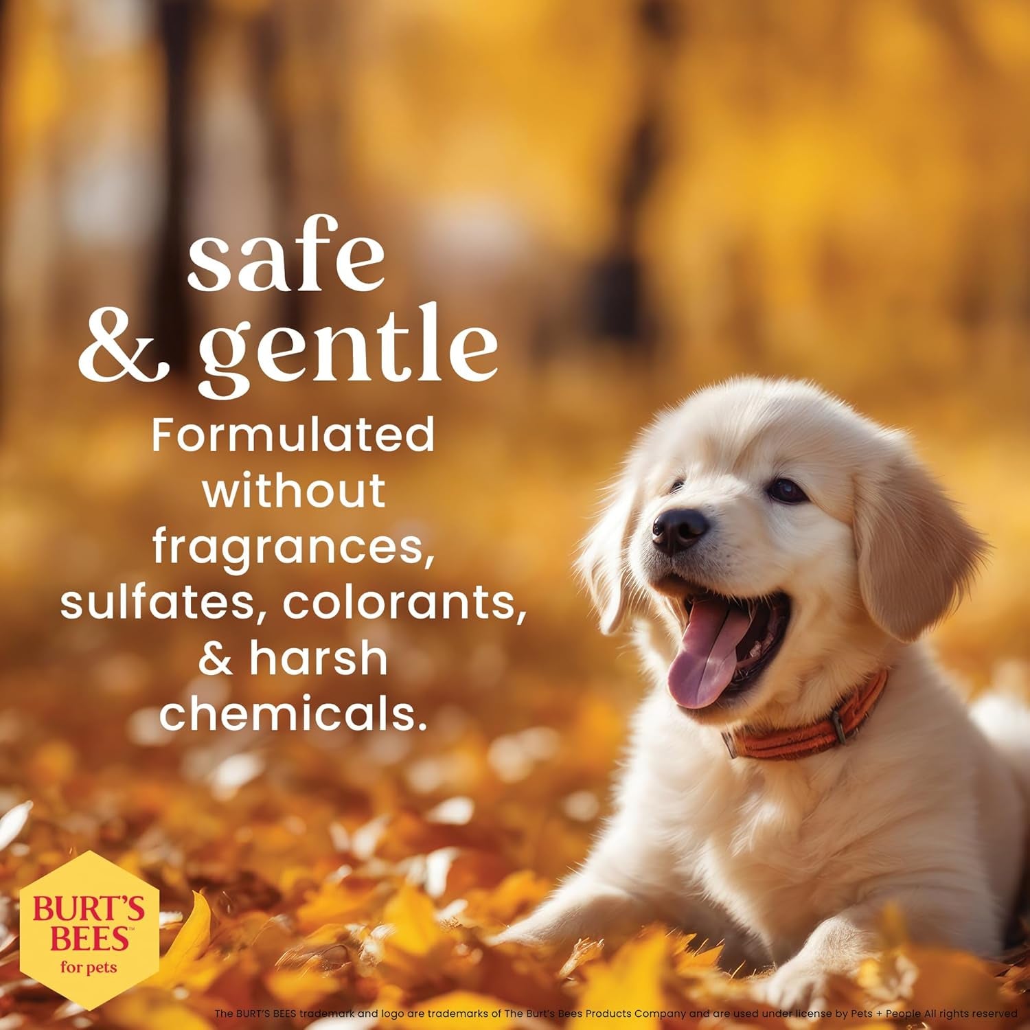 Burt's Bees for Pets Tear-Free Puppy Shampoo & Conditioner, 2-in-1 Dog Shampoo with Buttermilk, Gentle Formula for Sensitive Skin, 16 fl oz