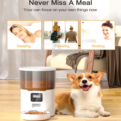 Smart Automatic Pet Feeder & Water Fountain Set – WiFi App-Controlled 4L Food Dispenser with 2L Water Fountain for Cats & Dogs