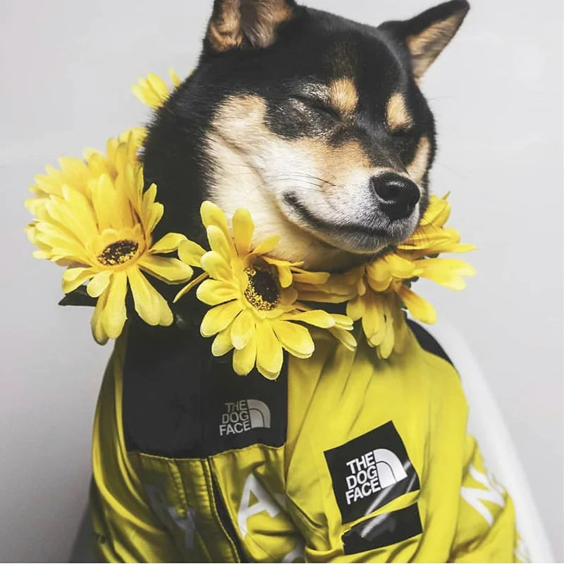 Waterproof Dog Raincoat with Hood - Windproof Jacket for Dogs 
