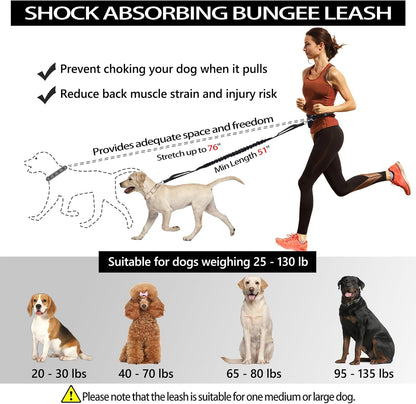 Hands Free Dog Leash- with Waist Belt & Zipper Pouch, Retractable Bungee Leash for Medium & Large Dogs, Dual Handle Running Leash for Walking, Jogging, Hiking & Training