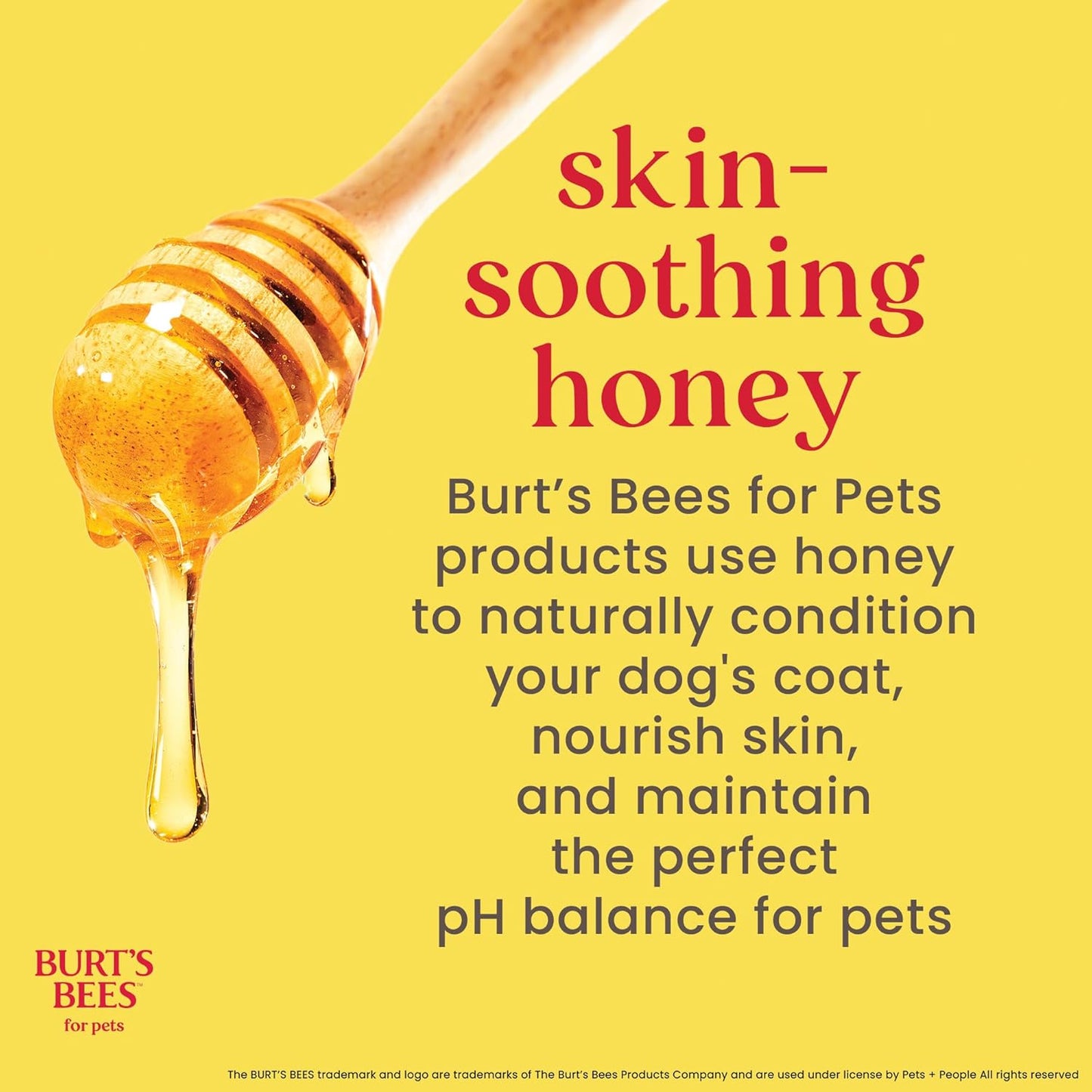 Burt's Bees for Pets Tear-Free Puppy Shampoo & Conditioner, 2-in-1 Dog Shampoo with Buttermilk, Gentle Formula for Sensitive Skin, 16 fl oz