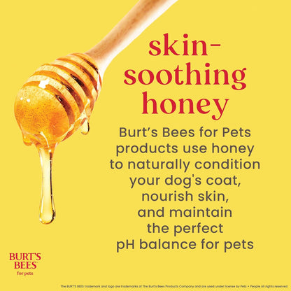 Burt's Bees for Pets Tear-Free Puppy Shampoo & Conditioner, 2-in-1 Dog Shampoo with Buttermilk, Gentle Formula for Sensitive Skin, 16 fl oz