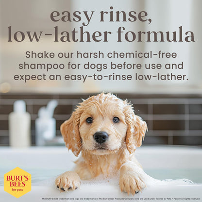 Burt's Bees for Pets Tear-Free Puppy Shampoo & Conditioner, 2-in-1 Dog Shampoo with Buttermilk, Gentle Formula for Sensitive Skin, 16 fl oz